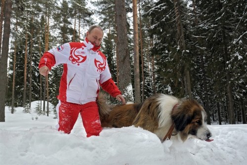 普京帶著寵物犬在雪地里散步。
